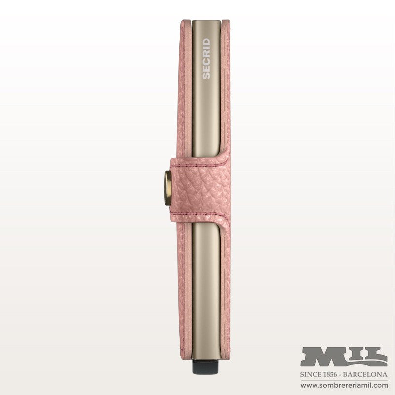 Mini Targeter Pebble | Secriu