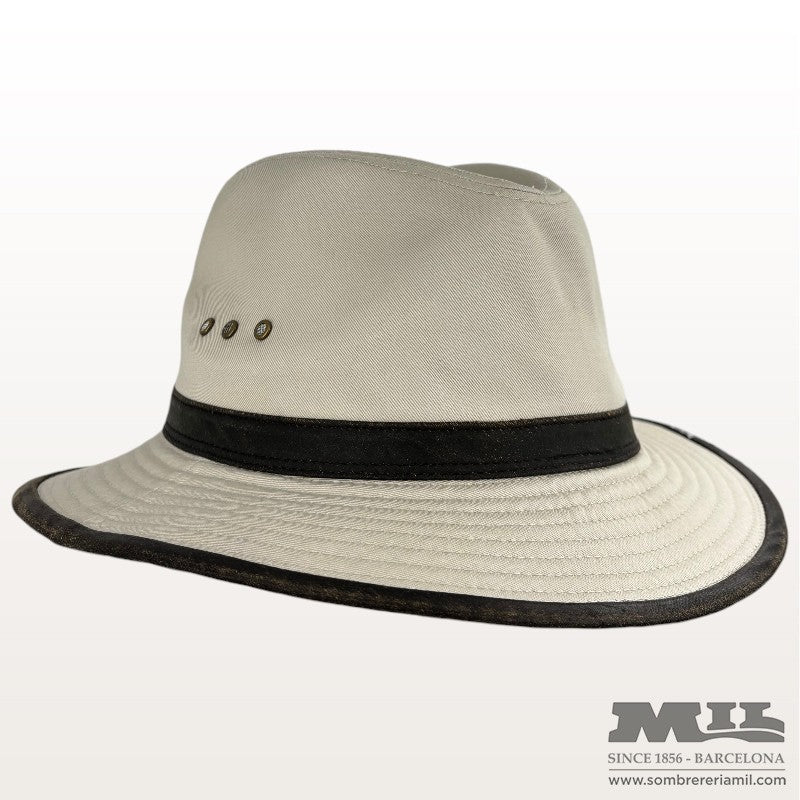 Barret Ava | Stetson
