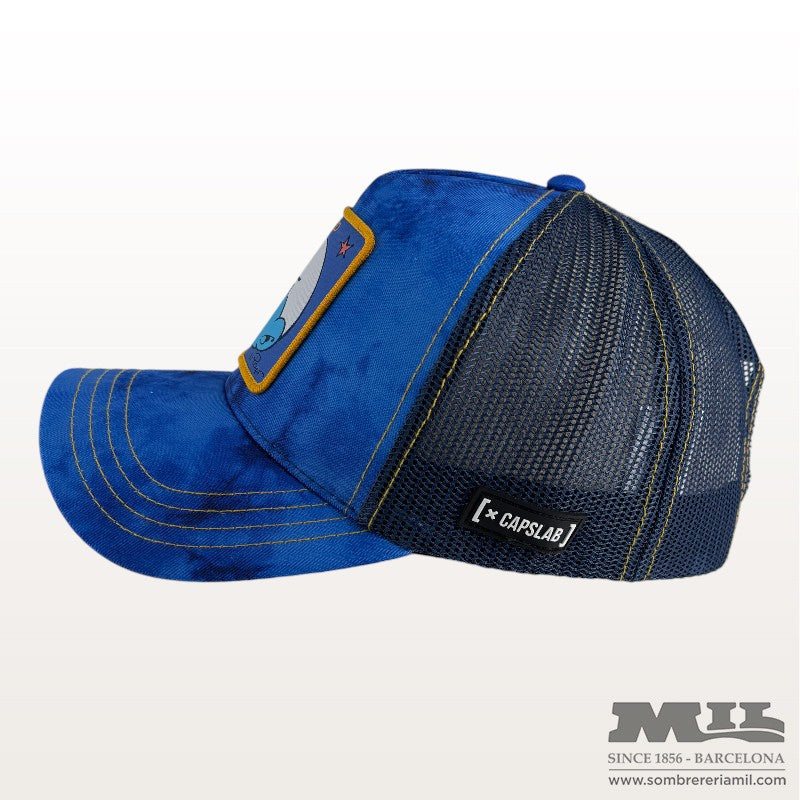Gorra Els Barrufets | CapsLab